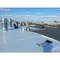 Ozônio ultravioleta de oposição 1.5mm do telhado impermeável do material de construção Tpo